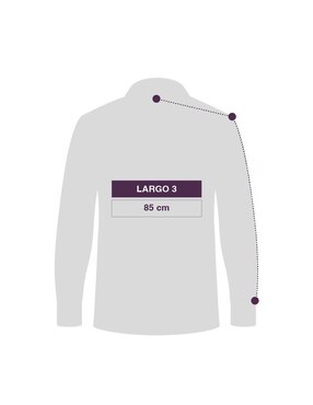 Guayabera manga larga Maauad para hombre